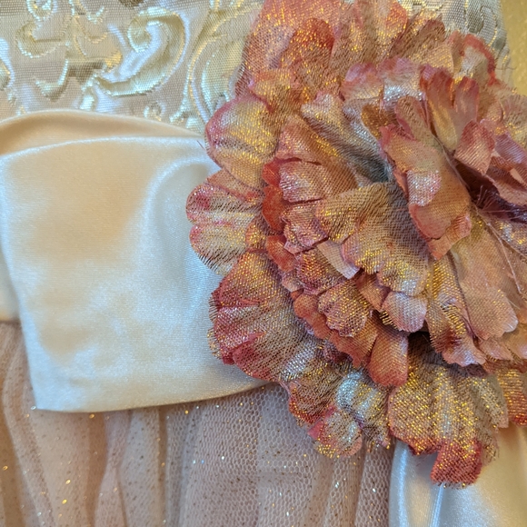 Chantilly Place Flower Girl Dress New With Tags - Picture 5 of 6